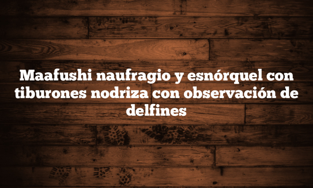 Maafushi naufragio y esnórquel con tiburones nodriza con observación de delfines