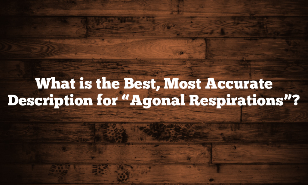 What is the Best, Most Accurate Description for “Agonal Respirations”?
